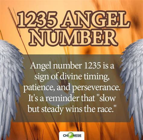 1235 angel number twin flame|1235 Angel Number Twin Flame, Love & Relationship,。